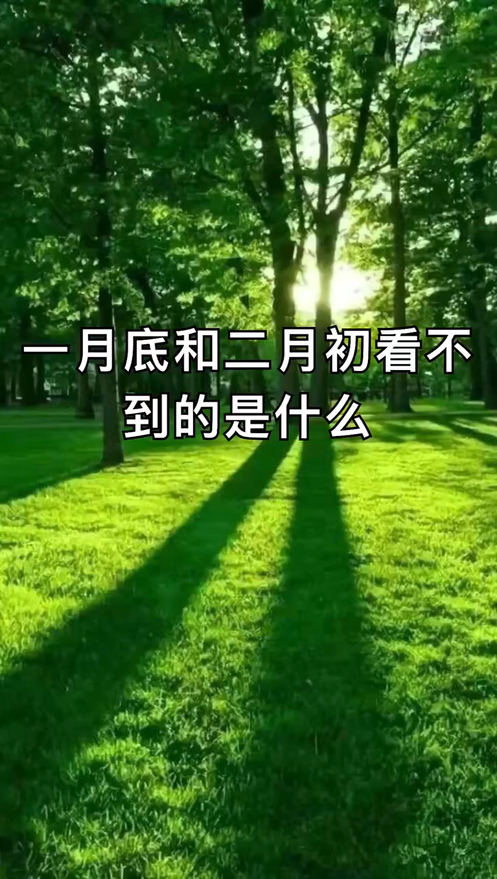 我来告诉你一月底二月初看不到的是什么