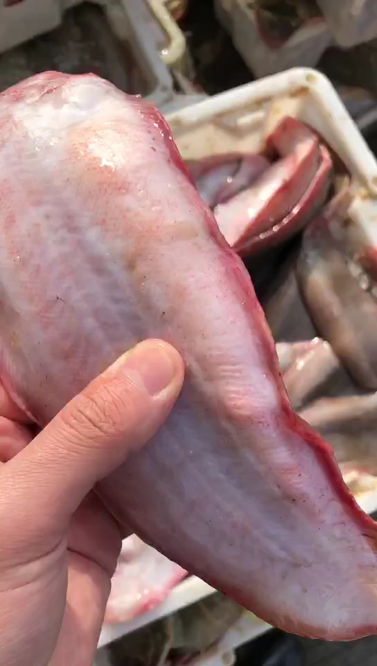 野生踏板鱼现在基本上都带有鱼籽,烧汤清蒸红烧都特别棒