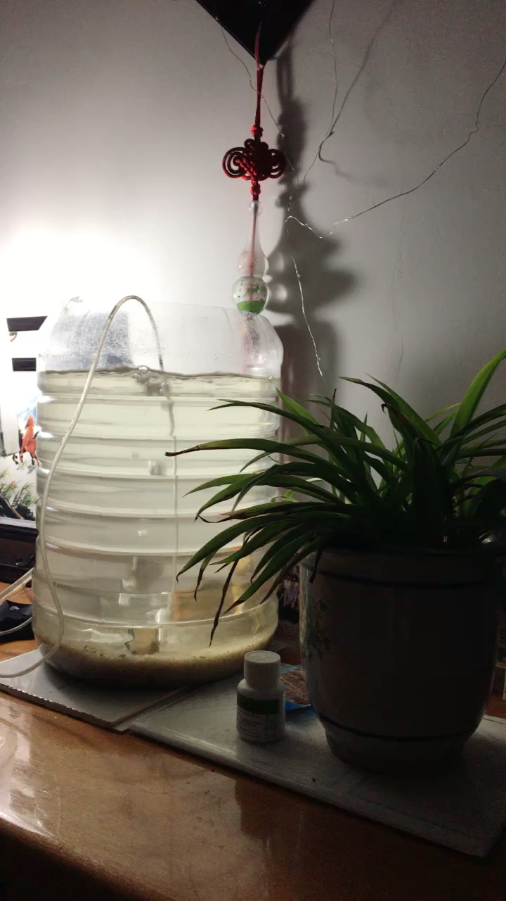 自制鱼缸,废物利用.