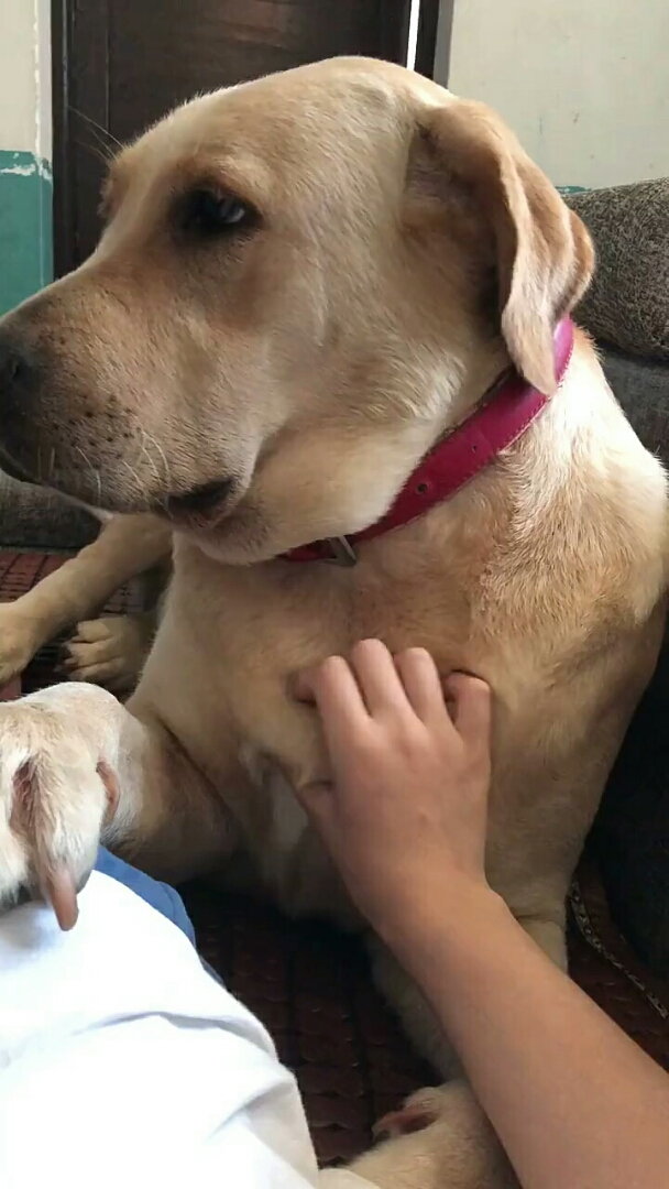 行行行,我帮你挠挠还不行么?别瞪我了?