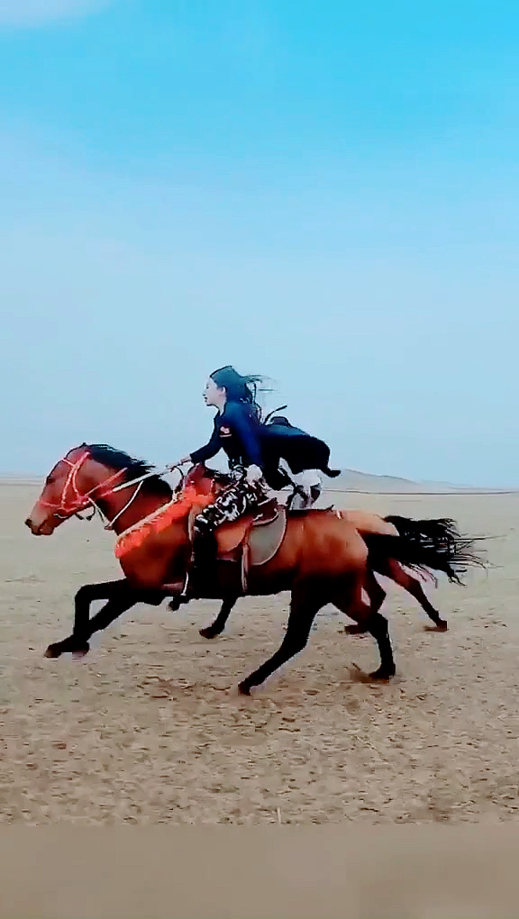 驰骋在草原上的蒙古马,蒙古姑娘那骑马的动作真是英姿飒爽.