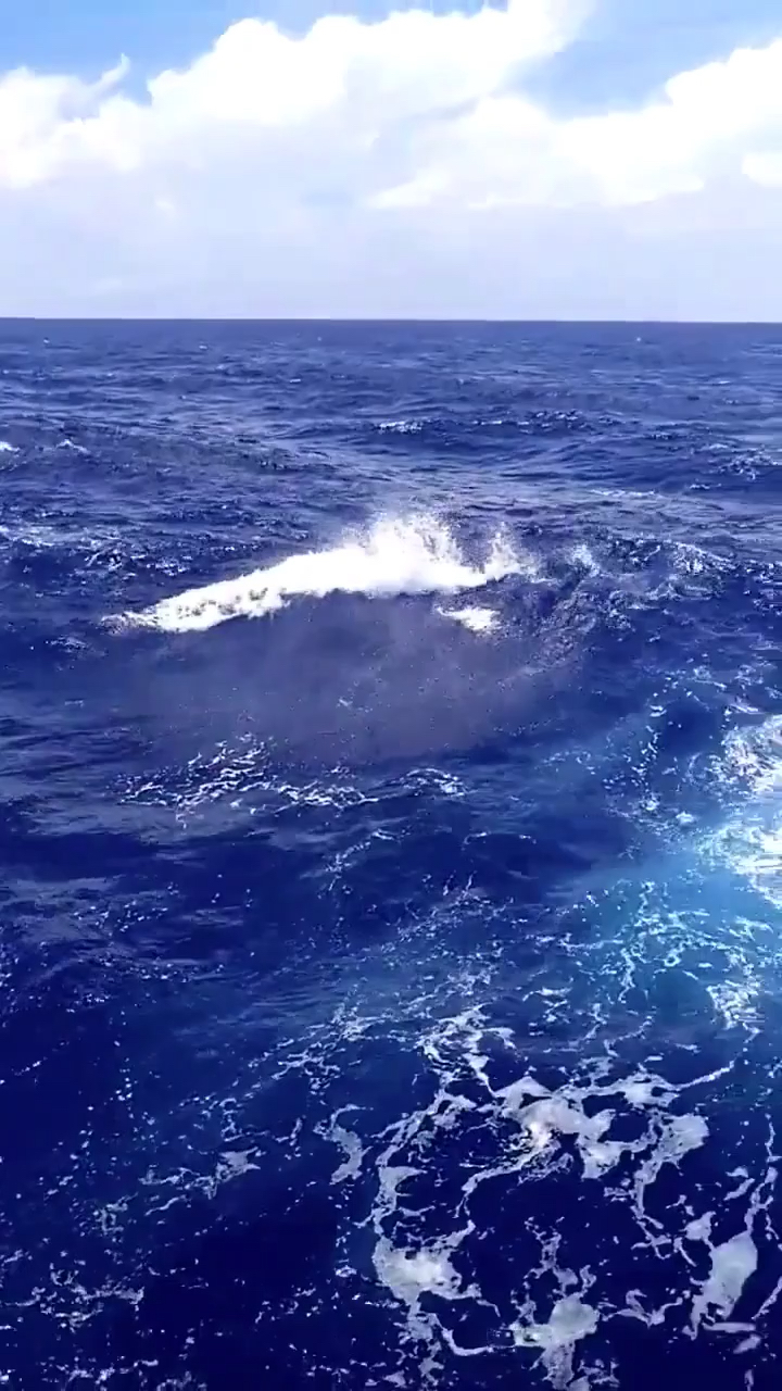 太平洋航行,水深8158米,只有深海才有这么蓝!