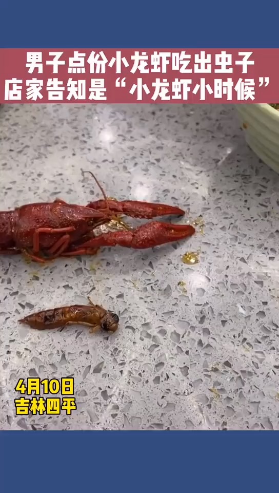 我要上热门#男子点小龙虾吃出虫子,店家告知是"小龙虾小时候"