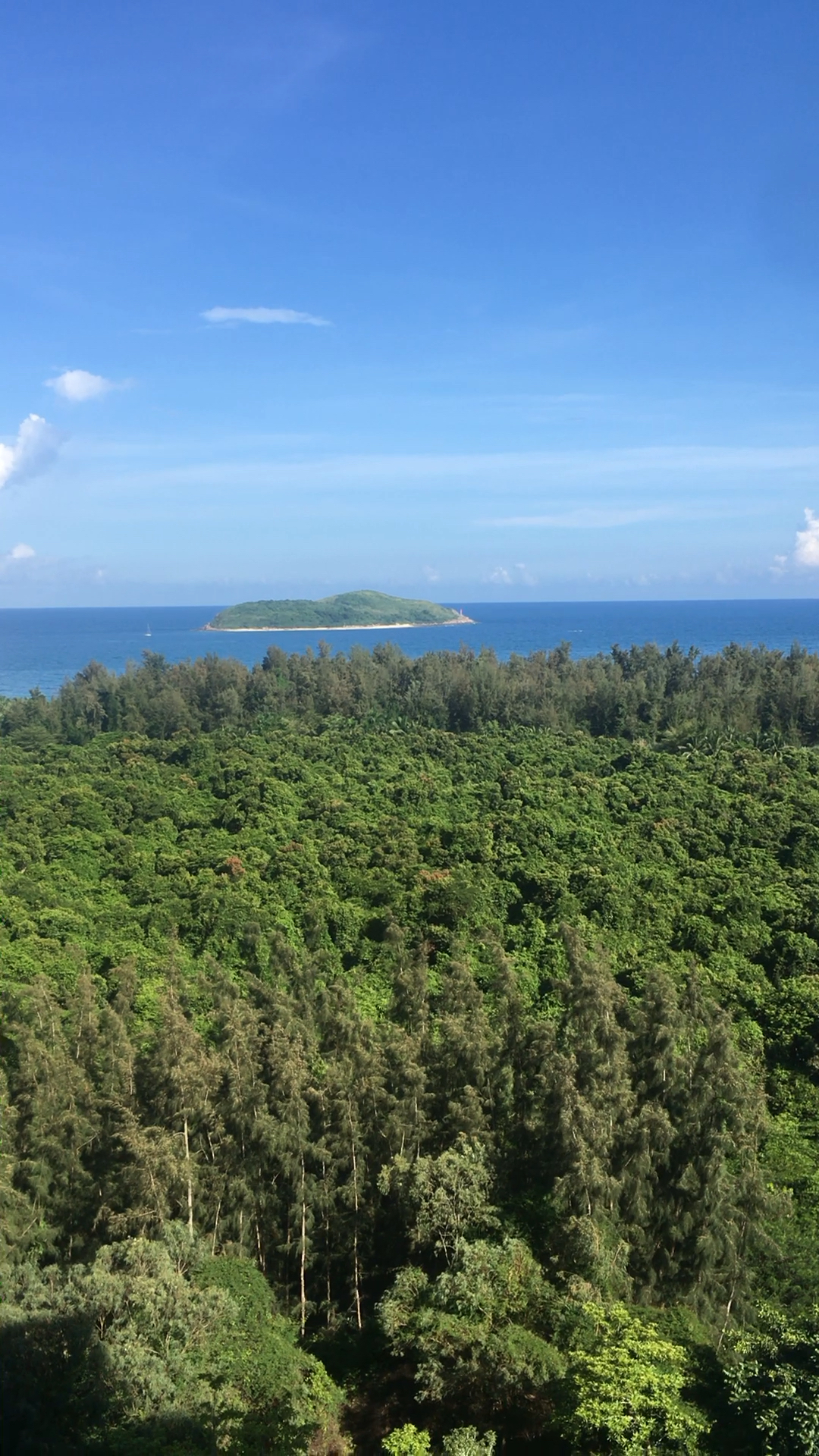 端午#看着石梅湾的海景 呼吸着青皮林的负氧离子 养老度假圣地