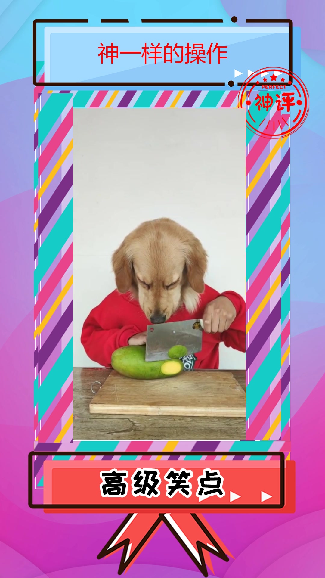 搞笑#我终于吃到大芒果了!