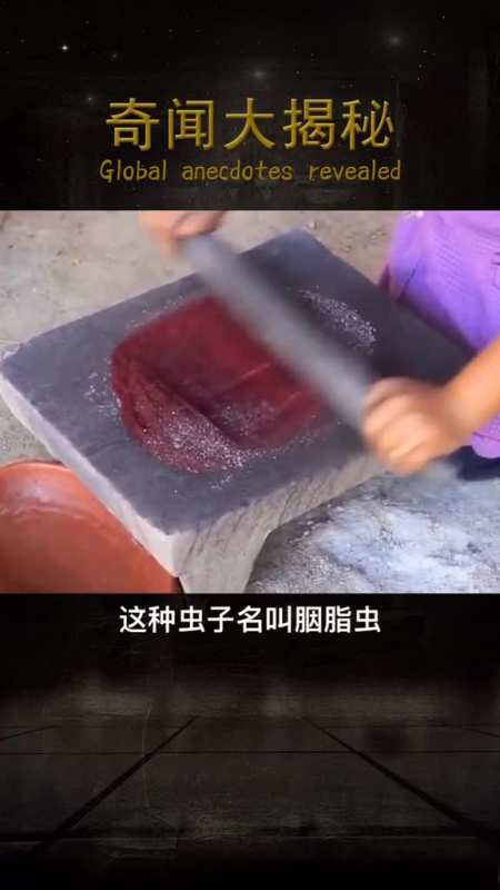 你敢相信吗口红竟是虫子做的