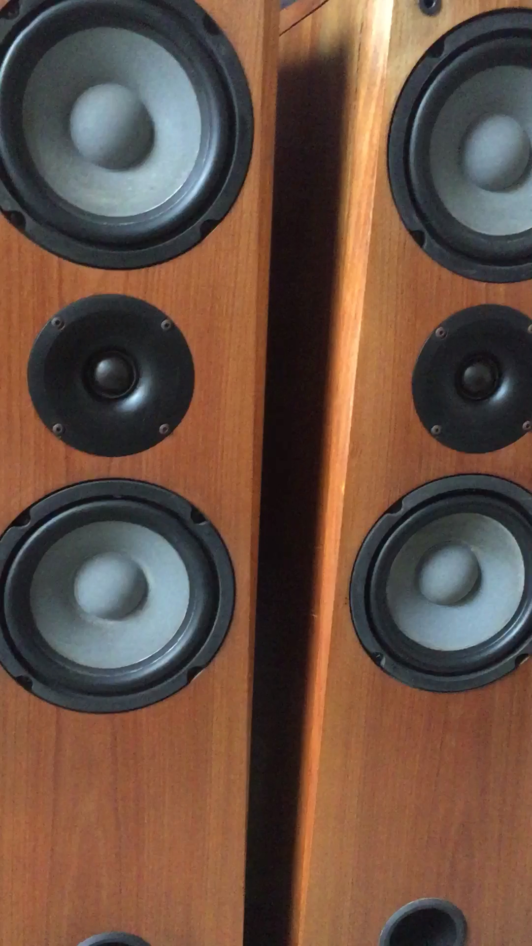 丹麦尊尼janey发烧落地音箱,双6.5寸,实木贴皮.