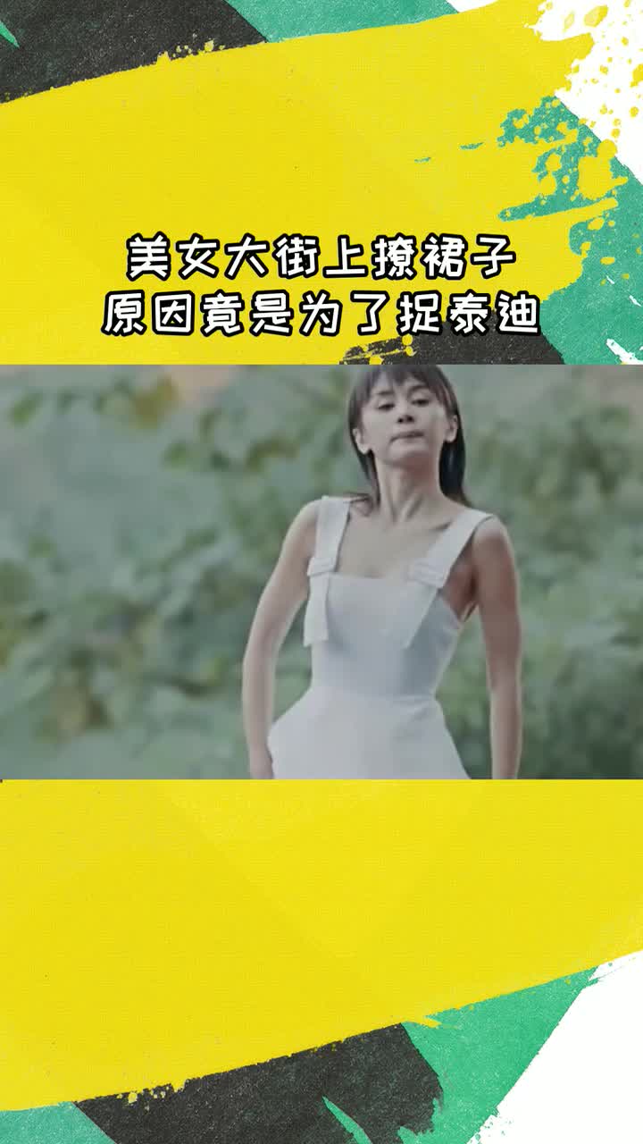 美女大街上撩裙子原因竟是为了捉泰迪