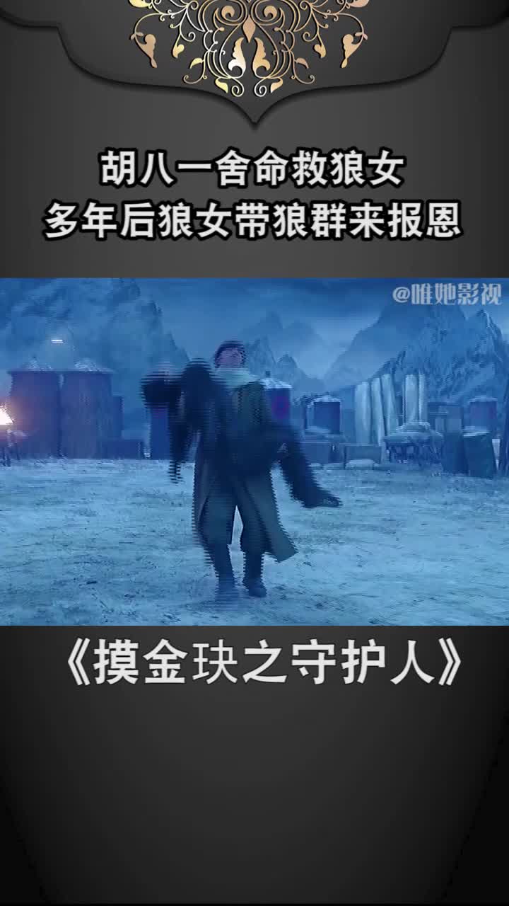 胡八一舍命救狼女,多年后狼女带狼群来报恩!