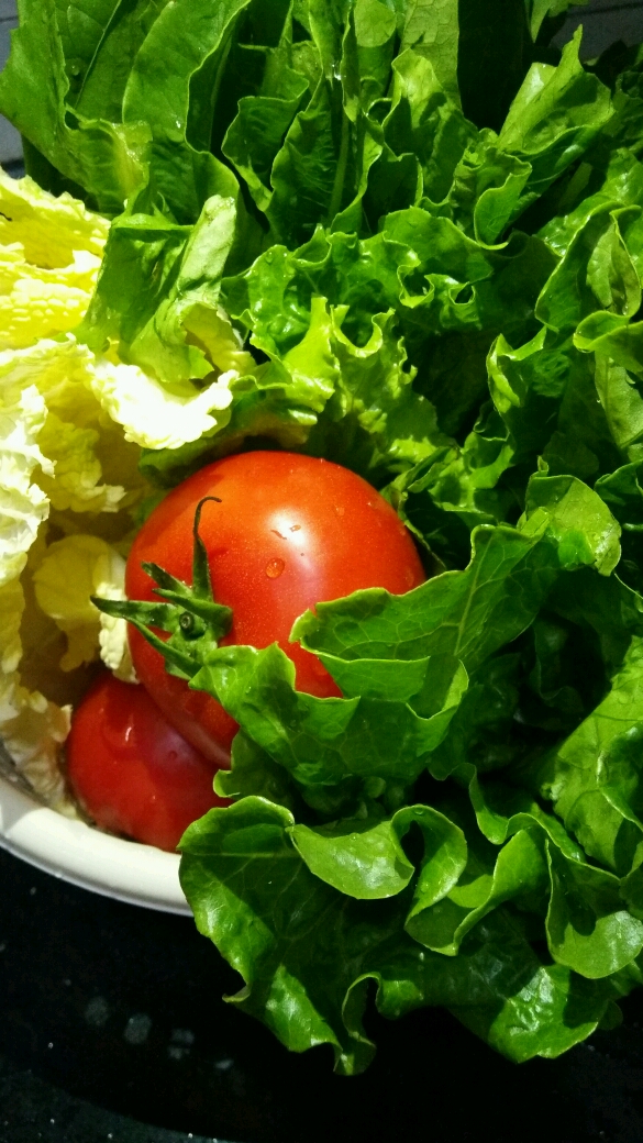 秀出你的拿手菜#绿色蔬菜水果爱了 简单火锅餐