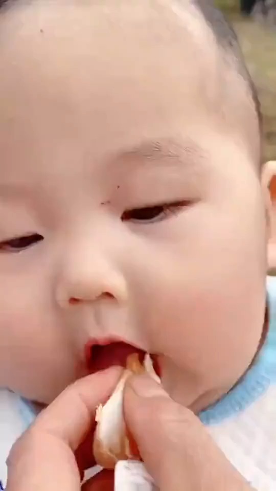 姑姥姥这两人又对小可爱下手了