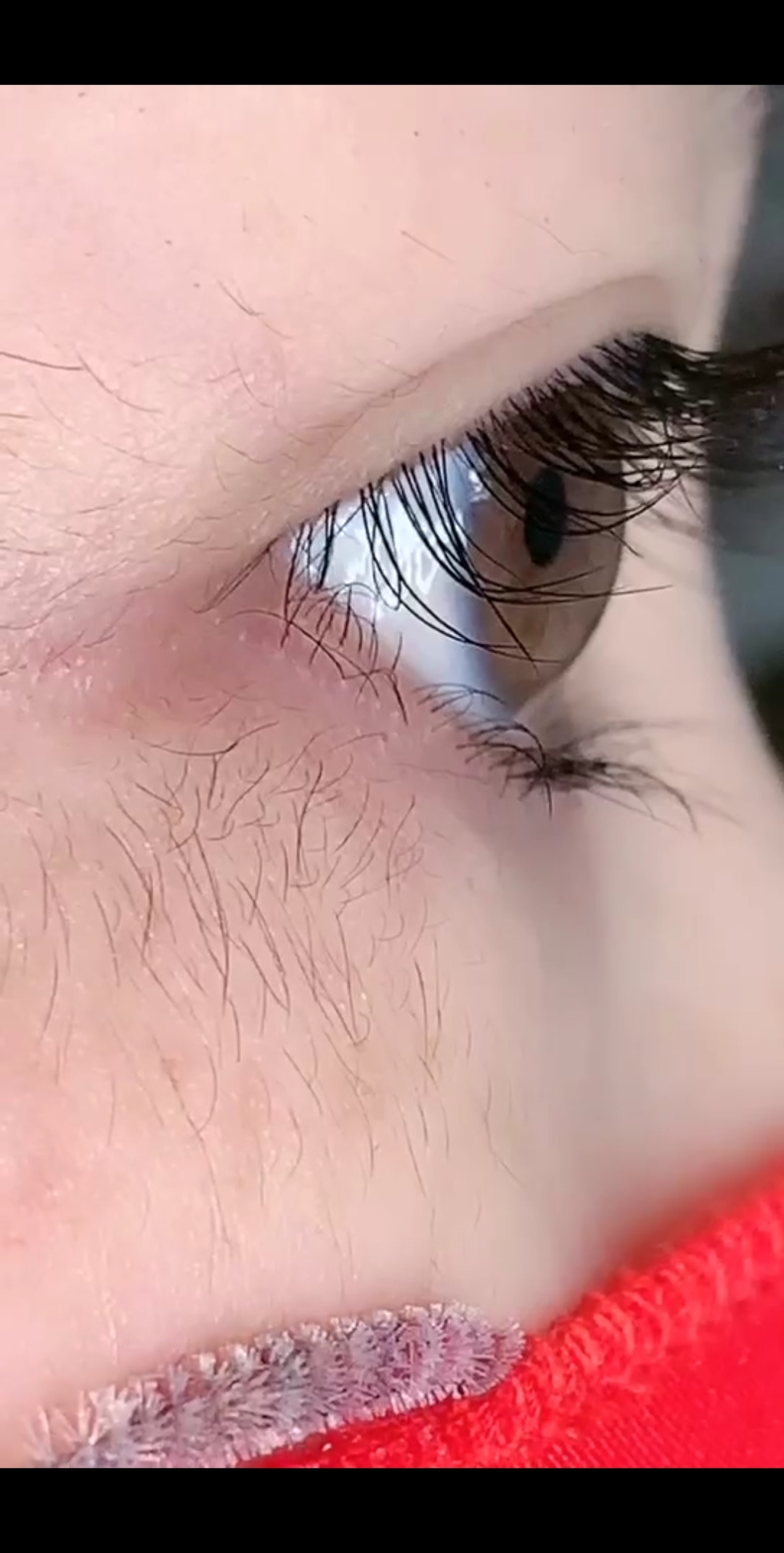 完了,完了,脸上长毛了太可怕了,图那里长那里,不用在嫁接了