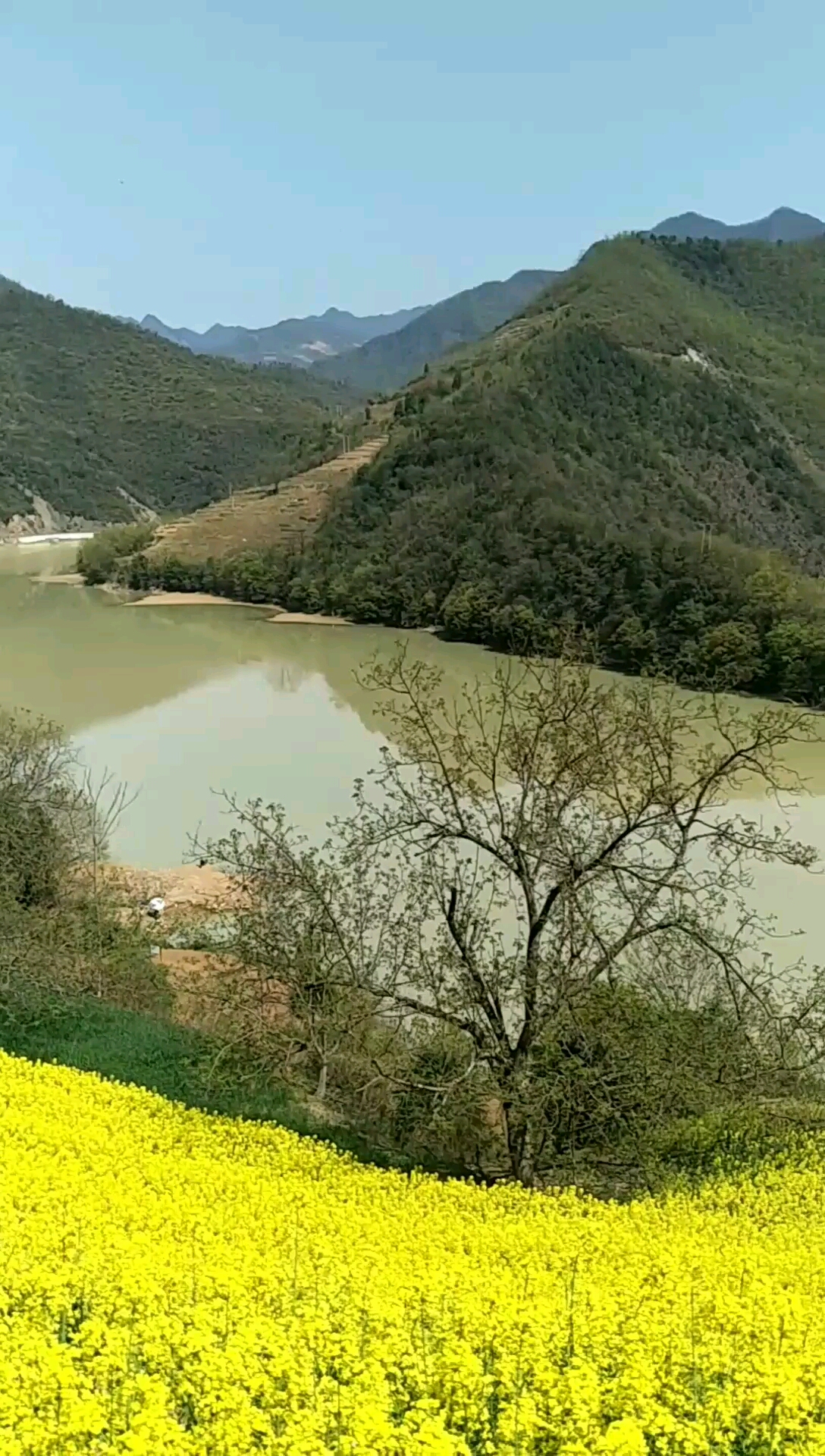 陕西略阳西淮坝网红村,位于西北部自然盆地,平均海拨810米.