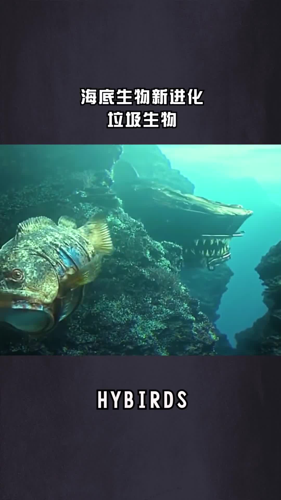 海洋的生物都被垃圾污染,不料竟进化成这样