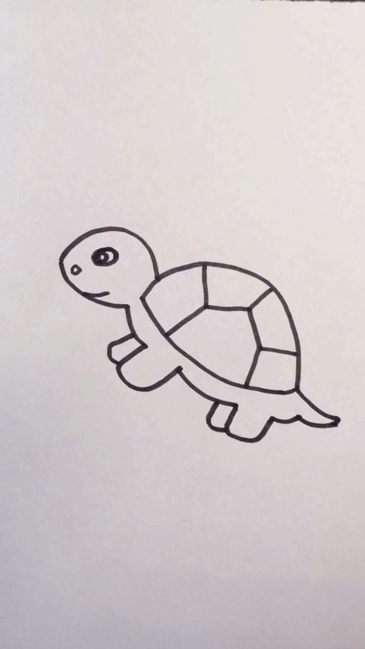 画画原来如此简单#用3画小乌龟