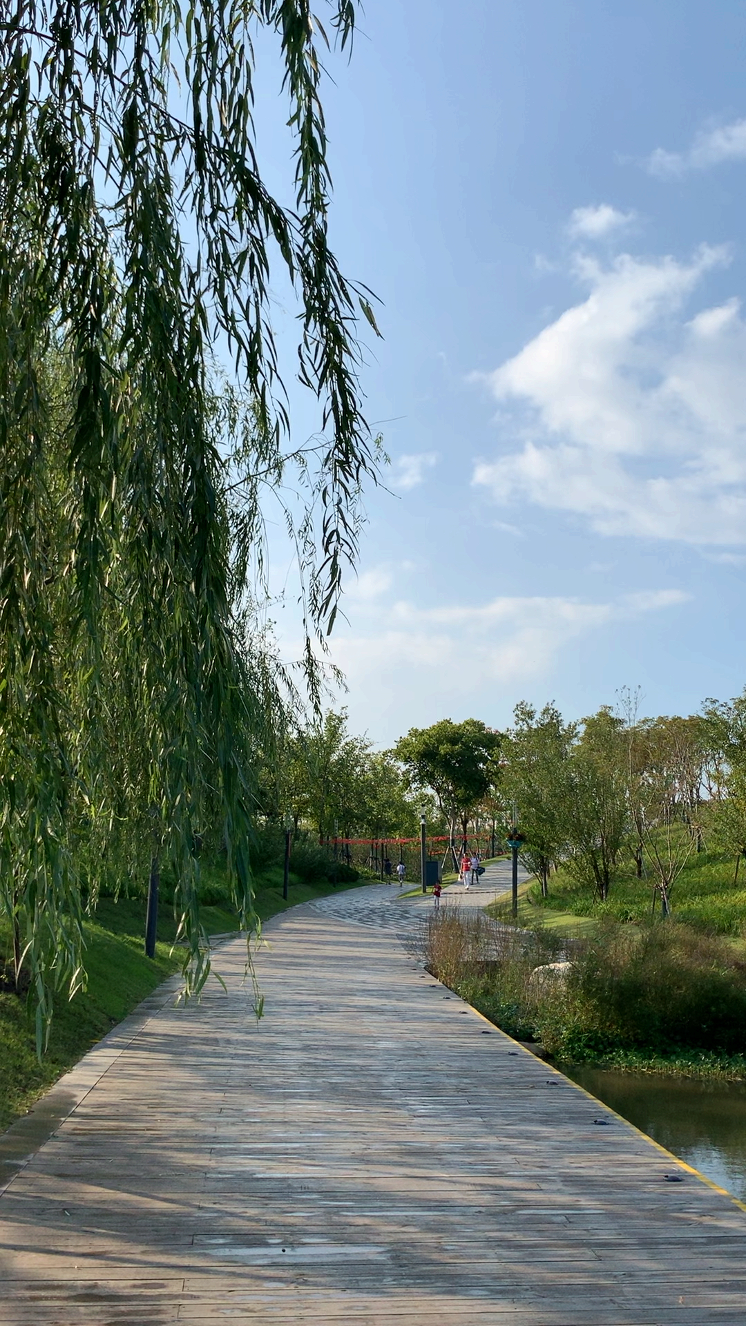 十一出游记#桃浦中央绿地