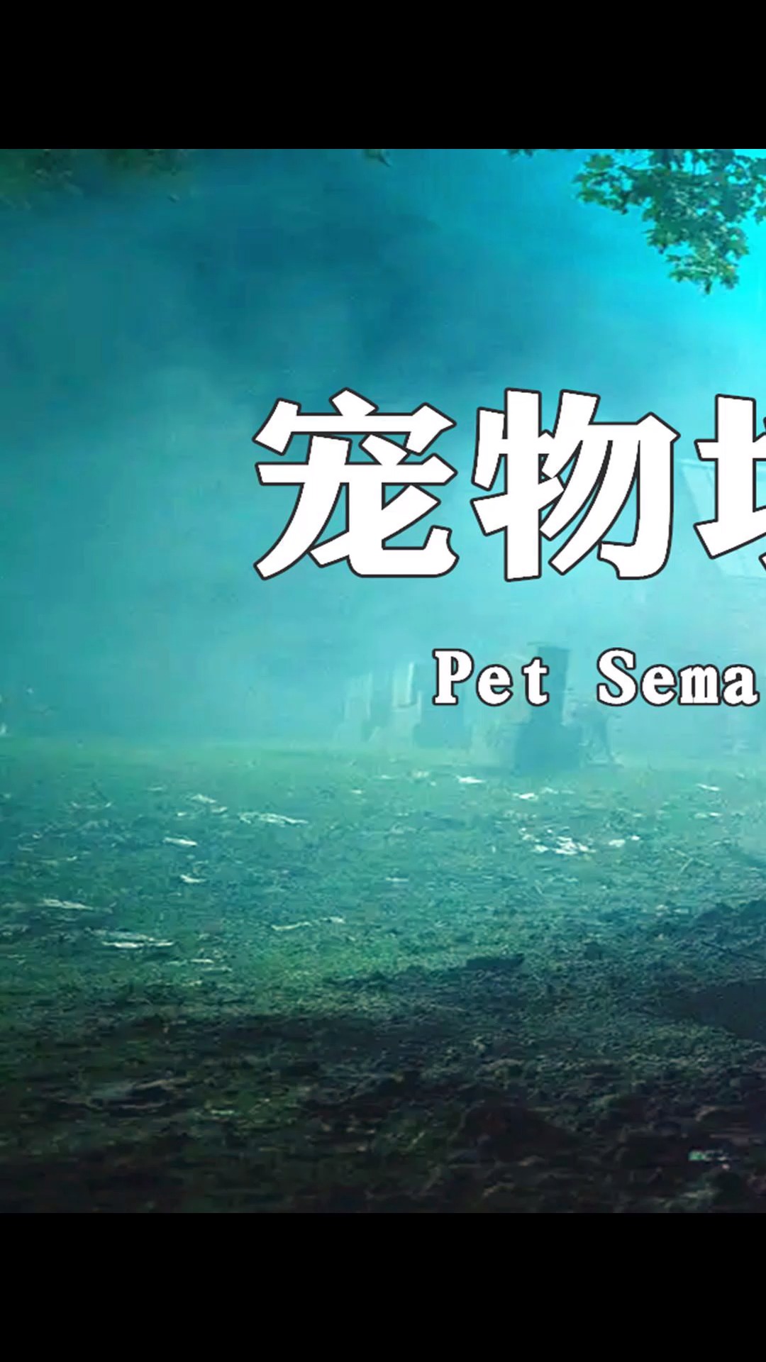 惊悚片《宠物坟场》就像噩梦,年度瘆人片没跑了!