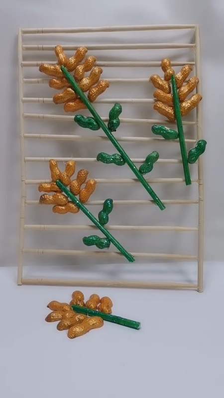 手工制作#家里拿来的花生,花生可以吃但是壳要给我留下