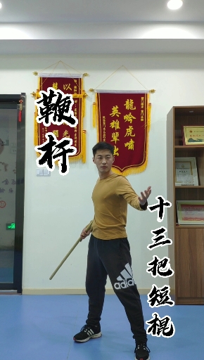 生命在于运动鞭杆十三把短棍