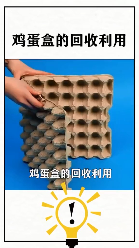 鸡蛋盒的回收利用,你学会了吗