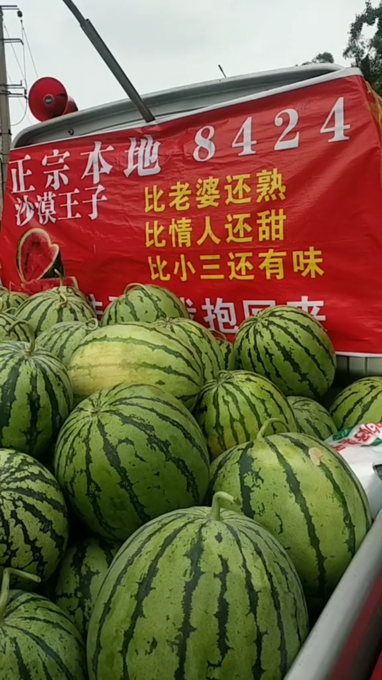 心中有曲自然嗨#这标语!一样来一个生活多滋又多味!