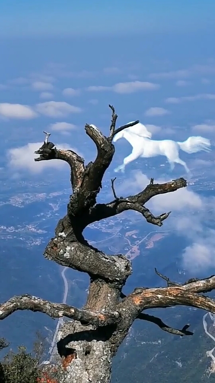 景区天空惊现飞天白马