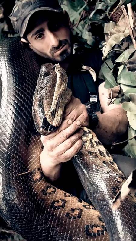 亚马逊森蚺,一口能吞下美洲豹的巨蛇,它到底有多大?你自己看