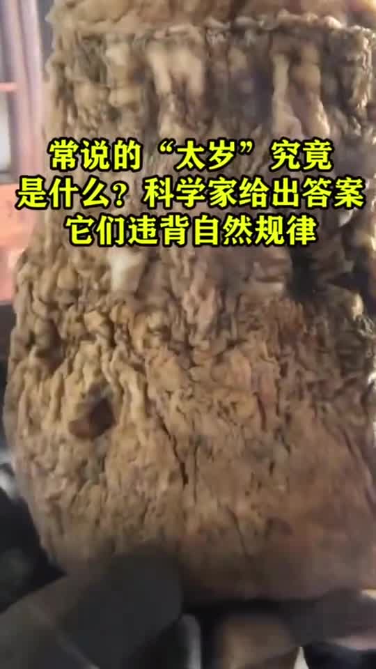 常说的太岁究竟是什么科学家给出答案他们违背自然规律