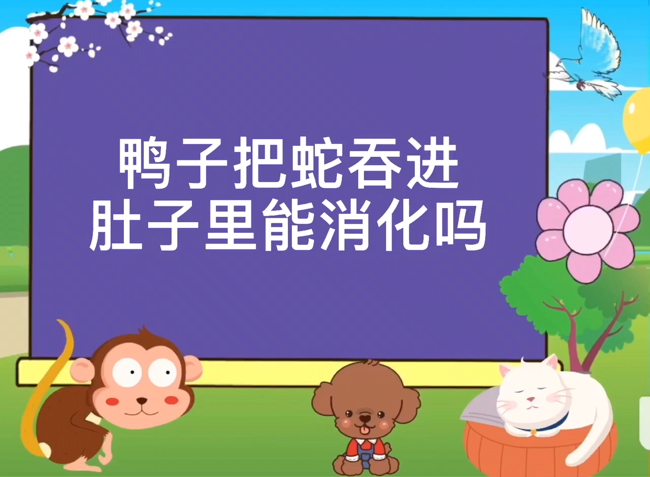 鸭子把蛇吞进肚子里能消化吗?