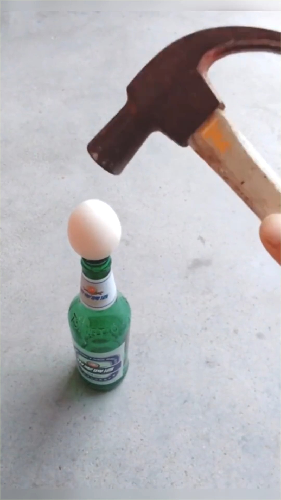 娱乐#一开始以为是要砸鸡蛋,没想到结局是这样的!