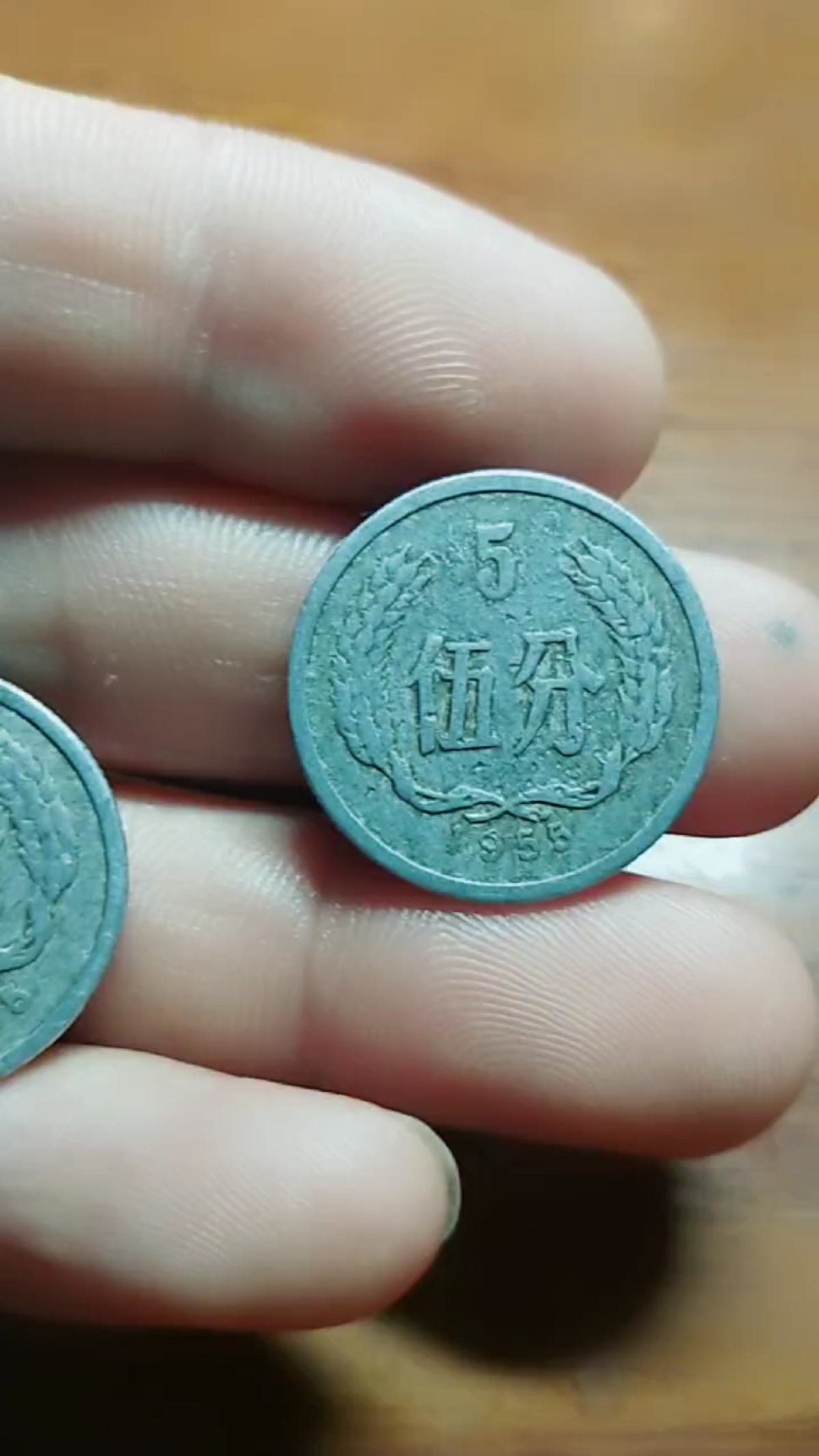 1955年五分硬币