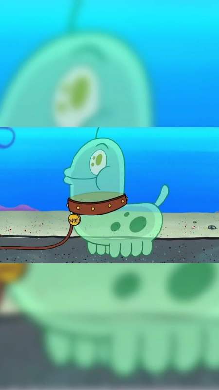 动漫海绵宝宝但凡沾点人的事我都不干海绵宝宝和派大星骚操作