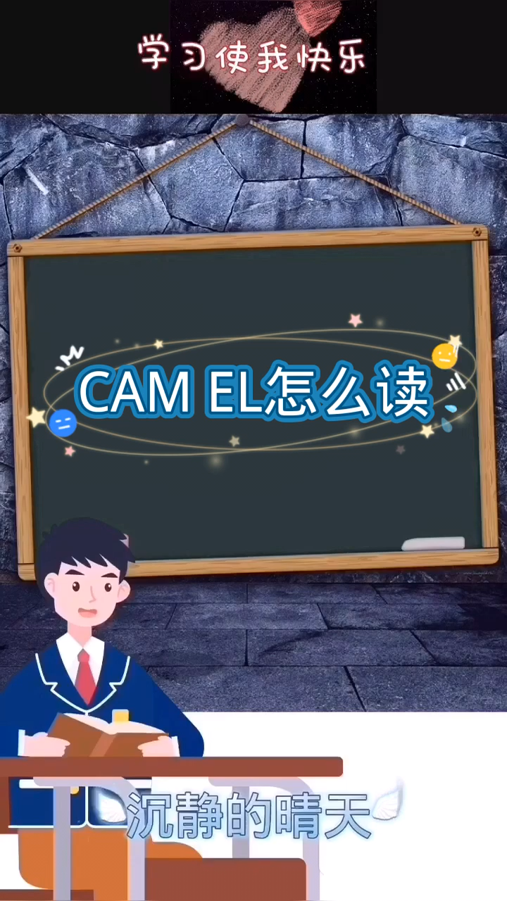 camel怎么读