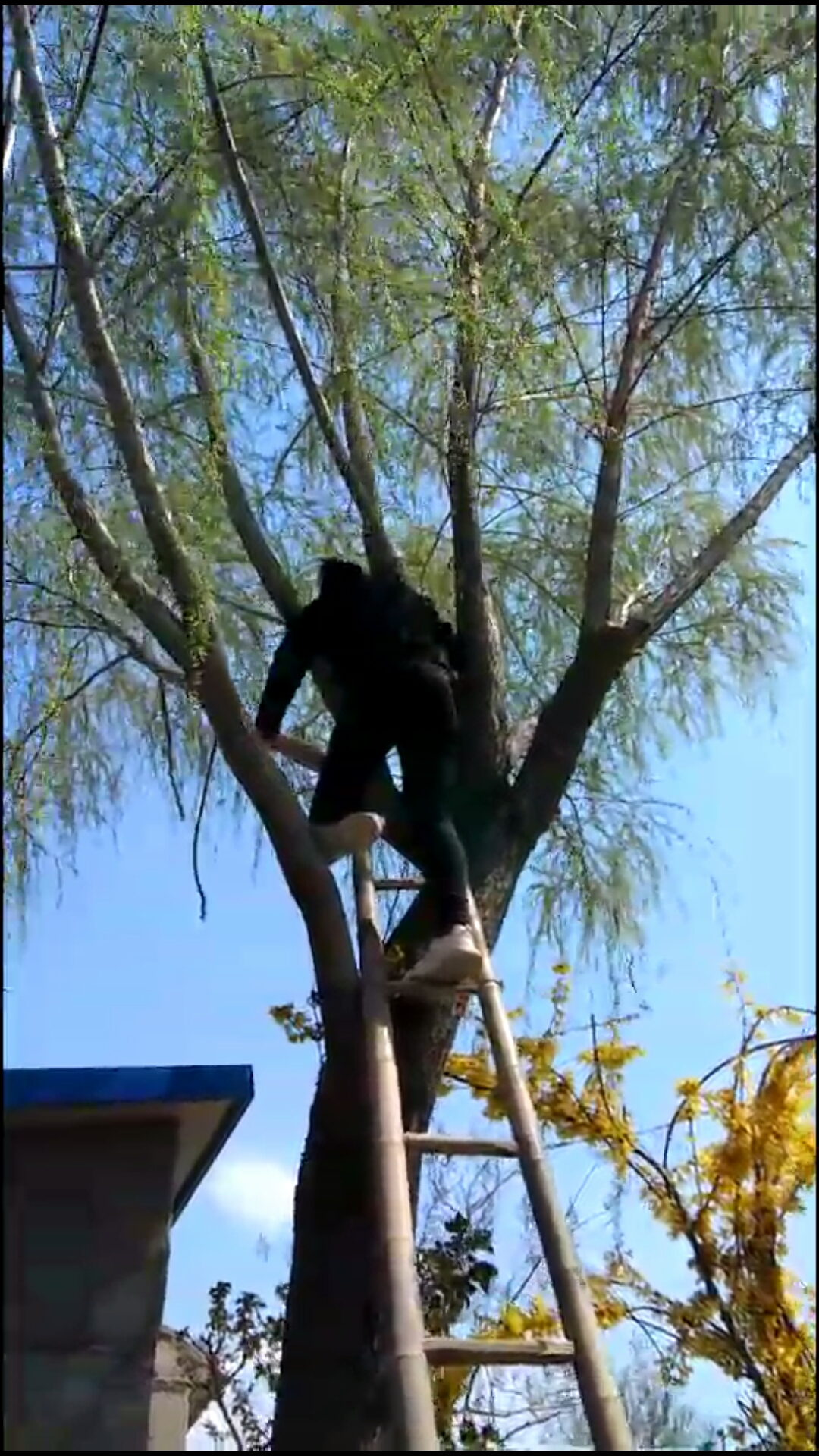 熊孩子的日常#哎呀,见过这种梯子吗?