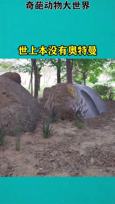 化石 回覆 0 老剛在地球12小時前 這是個死奧特曼?