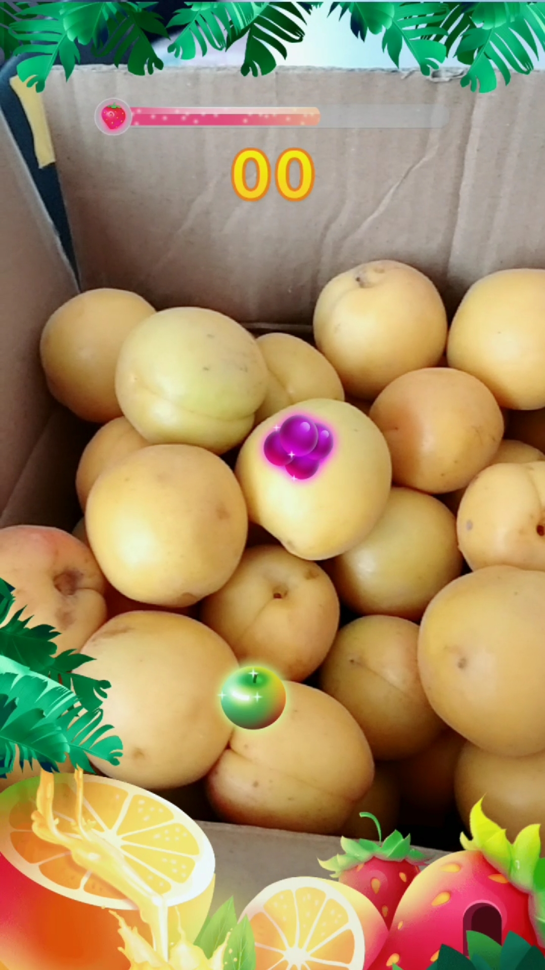 你好,夏天#大庆阳的曹杏,吃不吃!