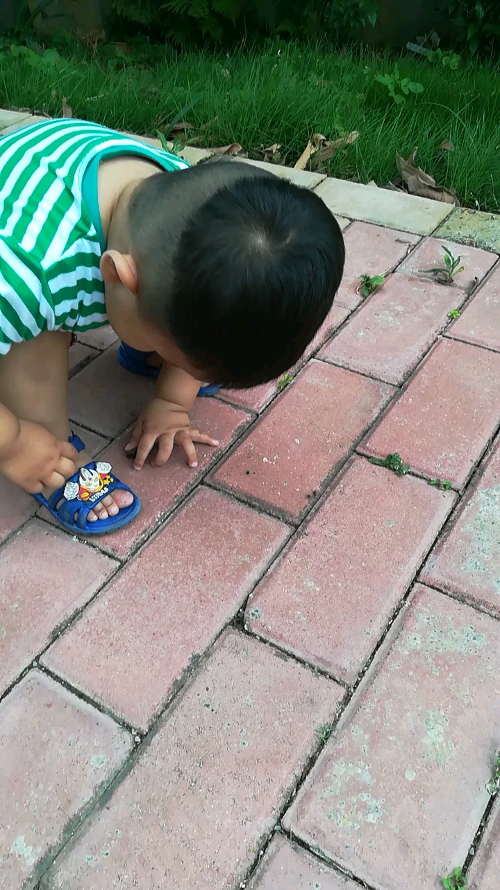 怕虫虫的小朋友唯独不怕这个