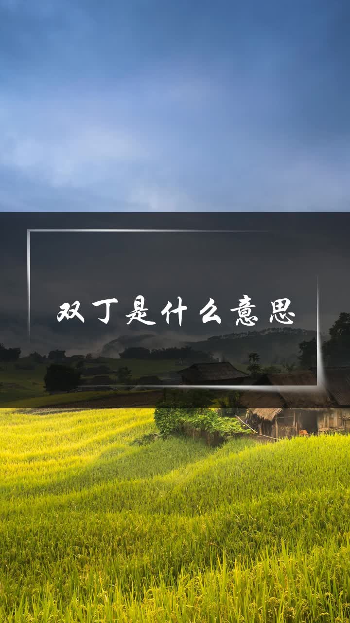 双丁是什么意思