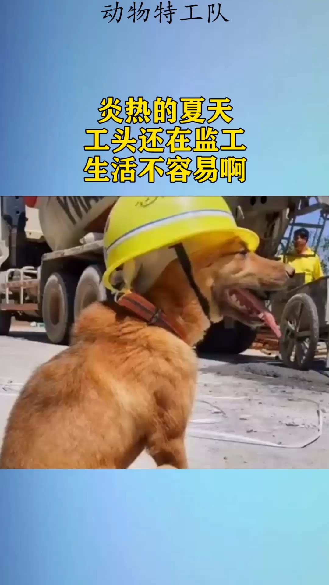 炎热的夏天,工头还在监工,生活不容易啊!