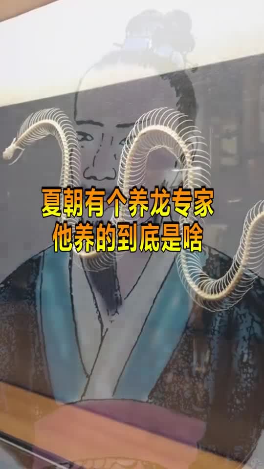 夏朝有个养龙专家刘累,养过两条活龙,他养的到底是啥