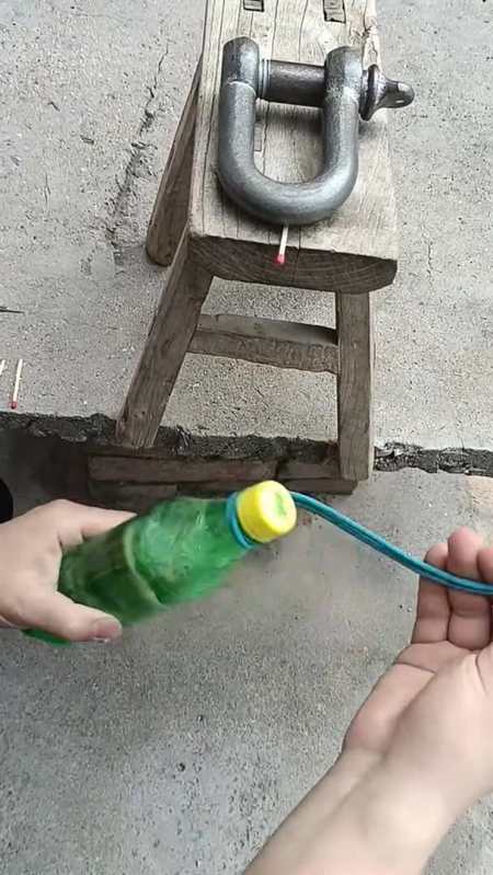 传说中的老鼠吊大象,太神奇了!-度小视