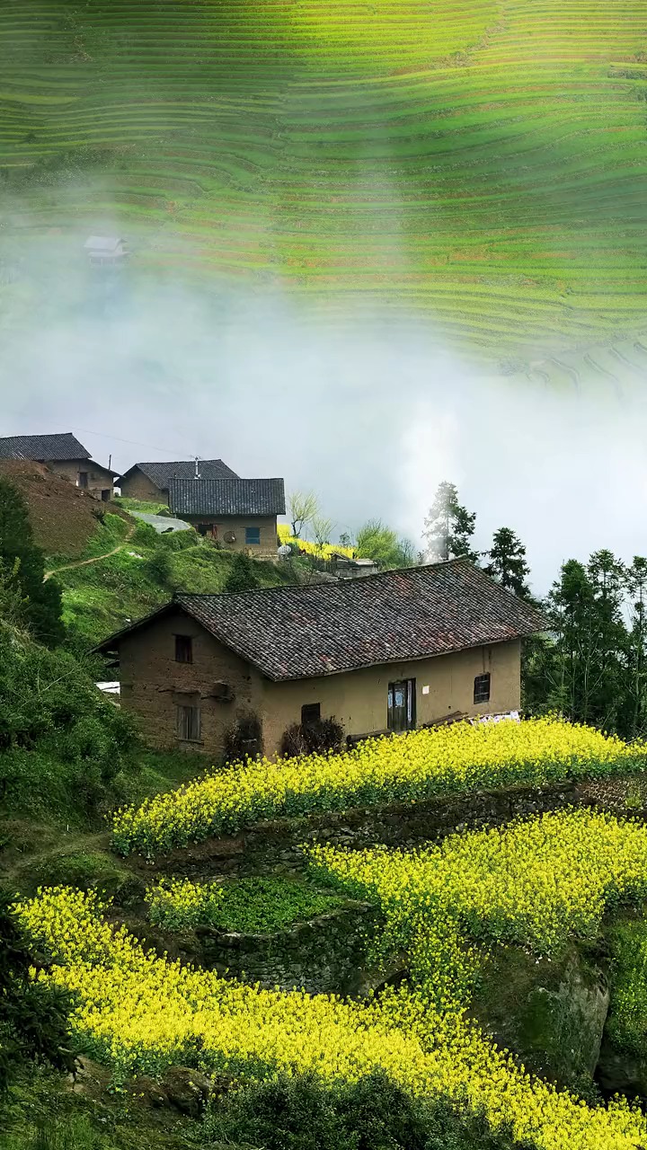 半山深处有人家,依山傍水远繁华,无为不做俗尘事,轻煮岁月慢煮茶,田园