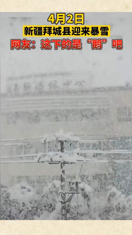社会新闻#4月2日,新疆拜城县降下鹅毛大雪,网友:这下的是鹅!