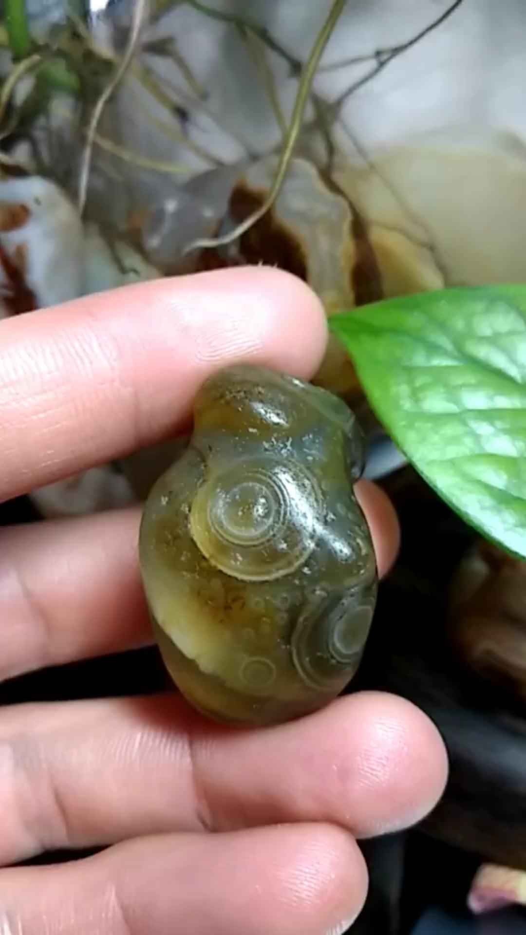 非常漂亮的天眼玛瑙原石