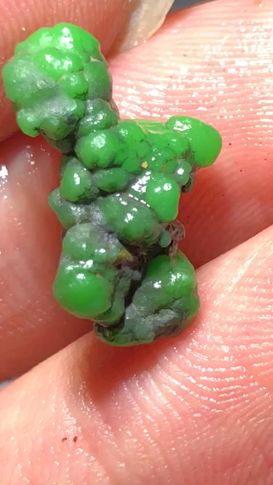 好样青年#湖北十堰原矿绿松石,特色,毛料,原石,郧西菜籽黄