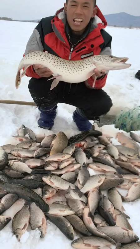 开江后看更精彩的乌苏里江捕鱼直播.