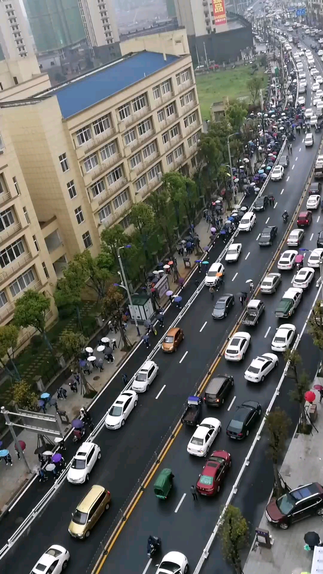 新马路红绿灯还未安装,碰上学校放学.司机心情是怎么样的