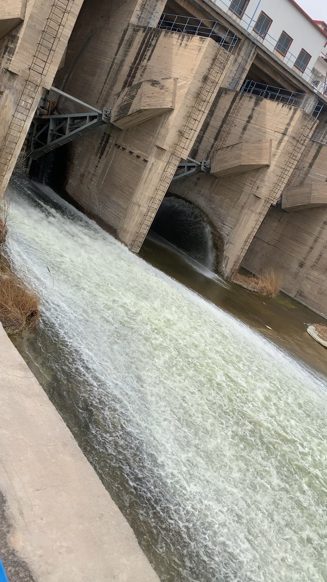 大同的册田水库,水流湍急,声音巨大,如万马奔腾,一泻千里