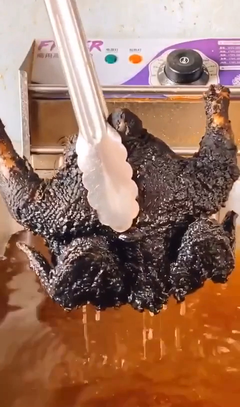 特色炸水泥鸡,我看这是乌鸡吧,皮都是黑色的