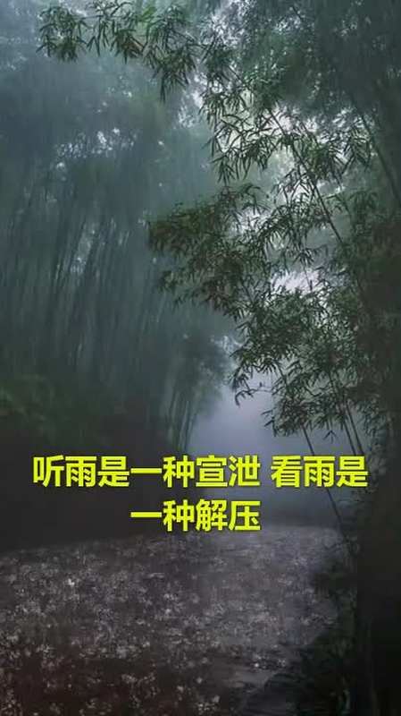 听雨是一种宣泄看雨是一种解压原来这是山林竹海惹了聚雨浓墨翠绿惹了